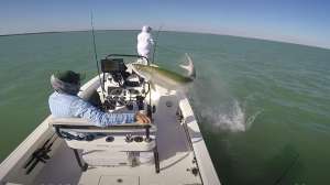Jumping tarpon over boat