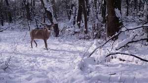 Justin Block Stealth Cam Facebook