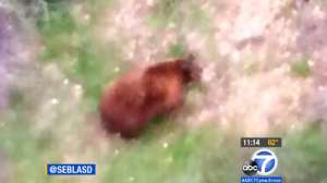 KABC Screenshot 181010 154742