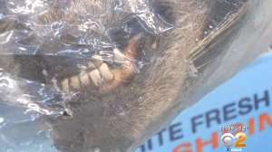 KTLA Screen Shot 2015 02 12 at 1039 181010 154841