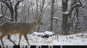 Kansas trail cam ban