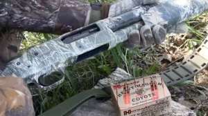 Kayser Shotgun Coyotes 181010 155046