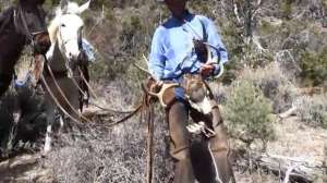 Kayser mtlion management 181010 154936