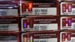 Kayser Summer Chores700 181010 154945