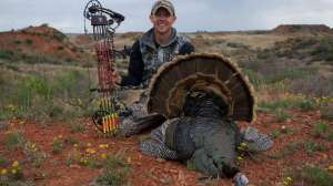 Keep It Simply Stupid beauty