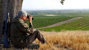 LEAD wine country cropped