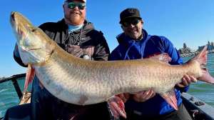 Lake Erie muskie pic