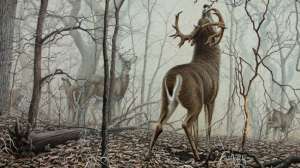 Larry Zach beauty 2 181203 143151