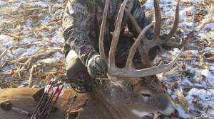 Larry Mettler BUCK Courtesy Larry Mettler 181004 084547