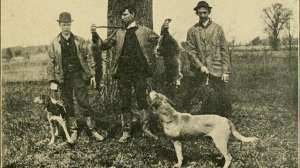 Life in old Virginia 1907 14783367032