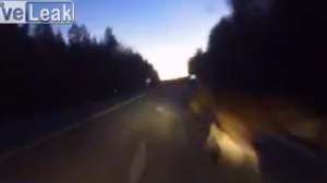 Live Leak Screen Shot 2014 07 23 at 1120 181010 155023