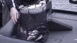 Livewell Buddy from Anglers Best