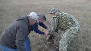 Locked Deer helped1 181010 154740