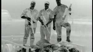 Louisiana Hog Control