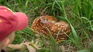 Luke with whitetail fawn