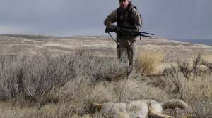 MG 3922 copyright Mark Kayser