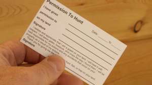 MG 9626 copyright Mark Kayser 181004 084512