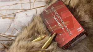 MG 9687 USE IN KAYSER BLOG ONLY copyright Mark Kayser 181003 162133