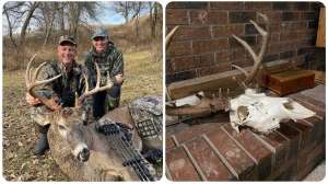 Maas SD buck collage with fang