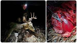Maas SD buck with heart collage