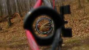 Macdougal Bow Mistakes640 181003 155416