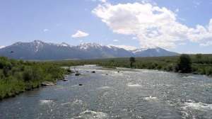Madison River Montana