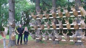 Manage small properties