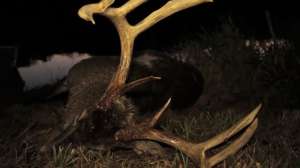 Management Advantage Screen Shot 2014 07 22 at 1110 181010 154709