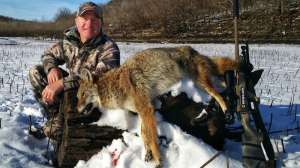 Mark Kayser coyote moo call 2