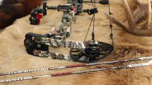 Mathews Halon Medium