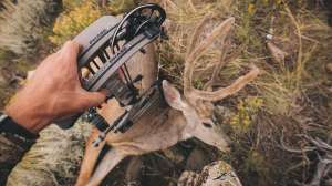 Mathews Phase4 lead pic