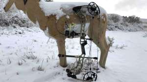 Mathews VERTIX beauty 181203 143248