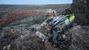 Mathews Vertix beauty for BW