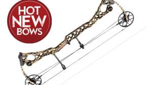 Mathews NO Cam640