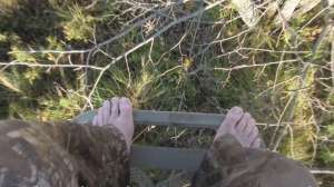 Mich public land video