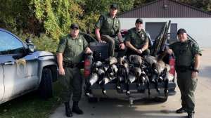 Michigan DNR waterfowl poaching