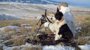 Midday Coyoytes Kayser photo 12 181003 161330