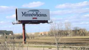 Minnow blillboard lead