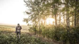 Misc Hunting 2017 14