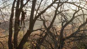 Mission Archery beauty