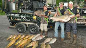 Muzzy Classic beauty