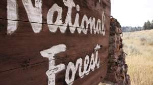 National Forest public hunting copyright Mark Kayser