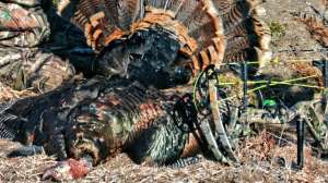 Nebraska Tom 11 edited 181003 155535