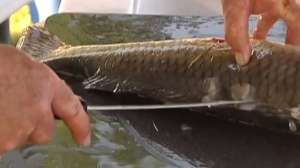 Nebraska DNR You Tube Screen Shot 2014 08 15 at 423 181010 154823