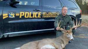 New York Hudson Valley poached deer photo by DEC officer Mike Arp