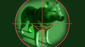 Nightvision wolf GFX3