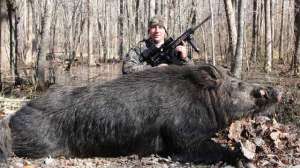 North Carolina Hog 181010 154827