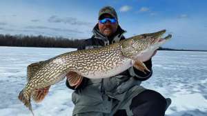 Northern Pike tip up beauty