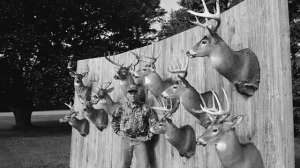 Nov01 BW TC Hicks Diffnt E 181003 161700