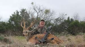 OTR BR Bob Axis deer 1